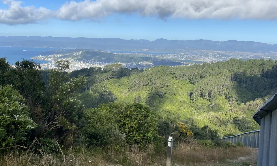 Sanctuary Fenceline, Wellington