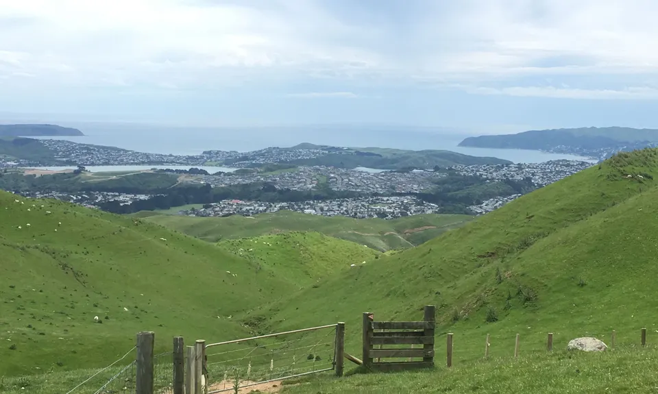 Puke Ariki Traverse, Wellington