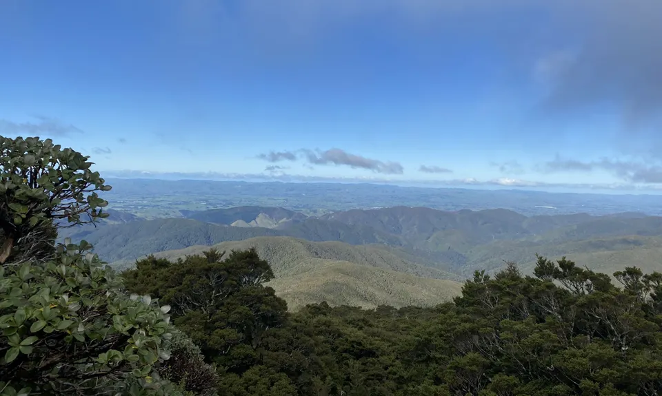 Powell Hut, Wellington