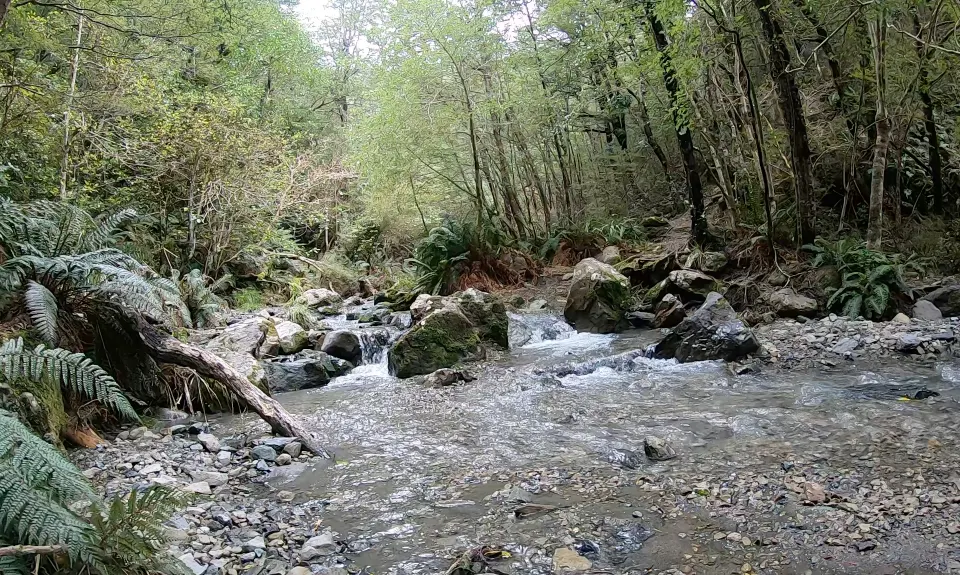 Mt Thomas Grunt, Canterbury