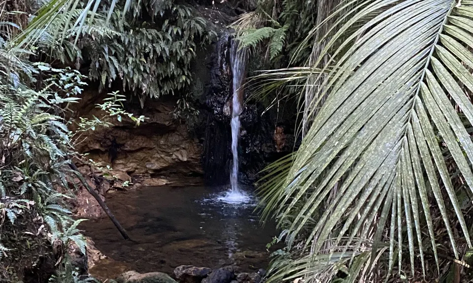 Ratapihipihi, Taranaki