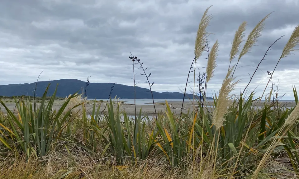 Waikanae River & Estuary, Wellington