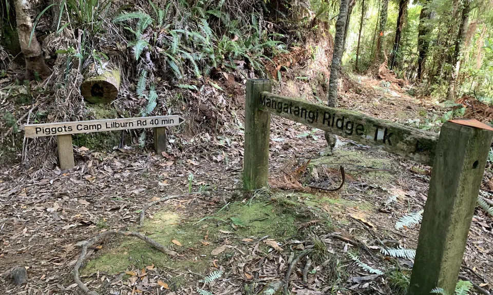 Hunua Magic, Auckland
