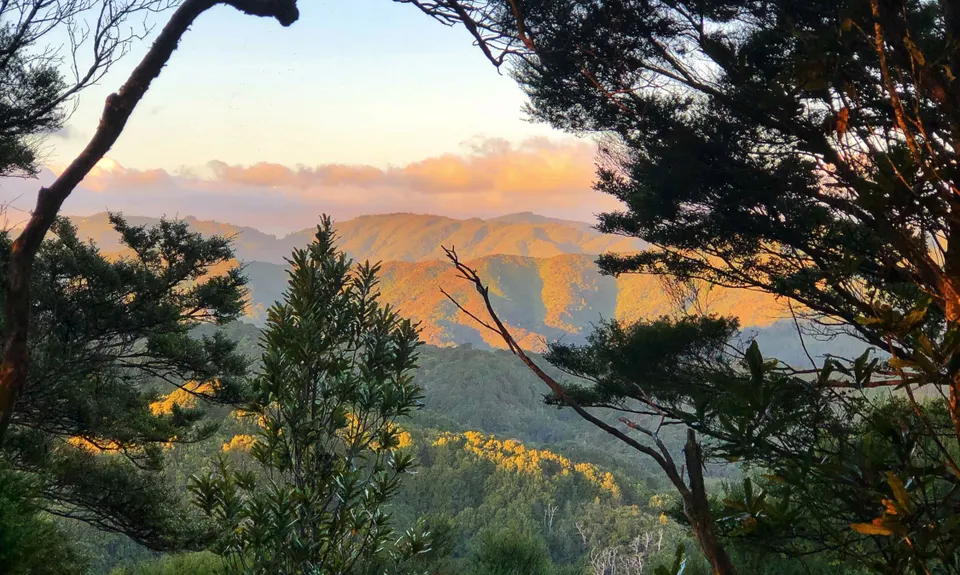 Mt Lowry, Wellington