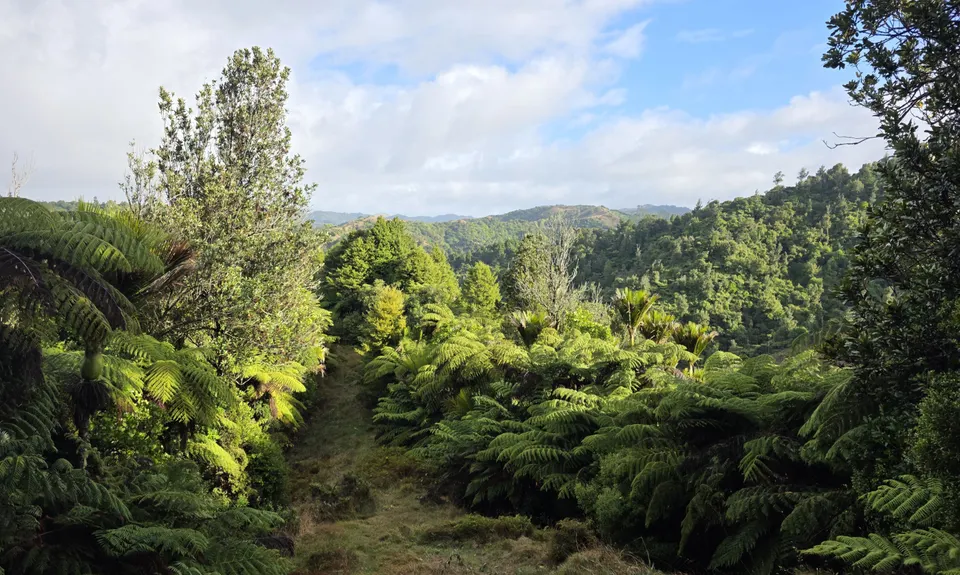 Ed Hillary Hope Reserve Loop, Waikato