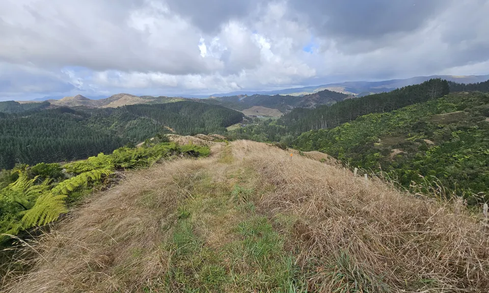 Ed Hillary Hope Reserve Loop, Waikato