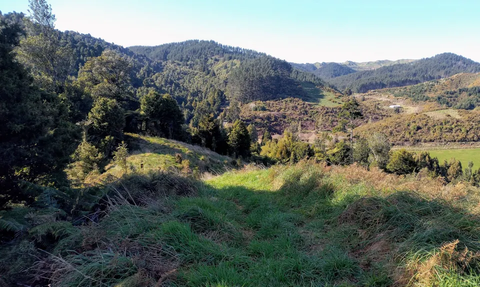 Ed Hillary Hope Reserve Loop, Waikato