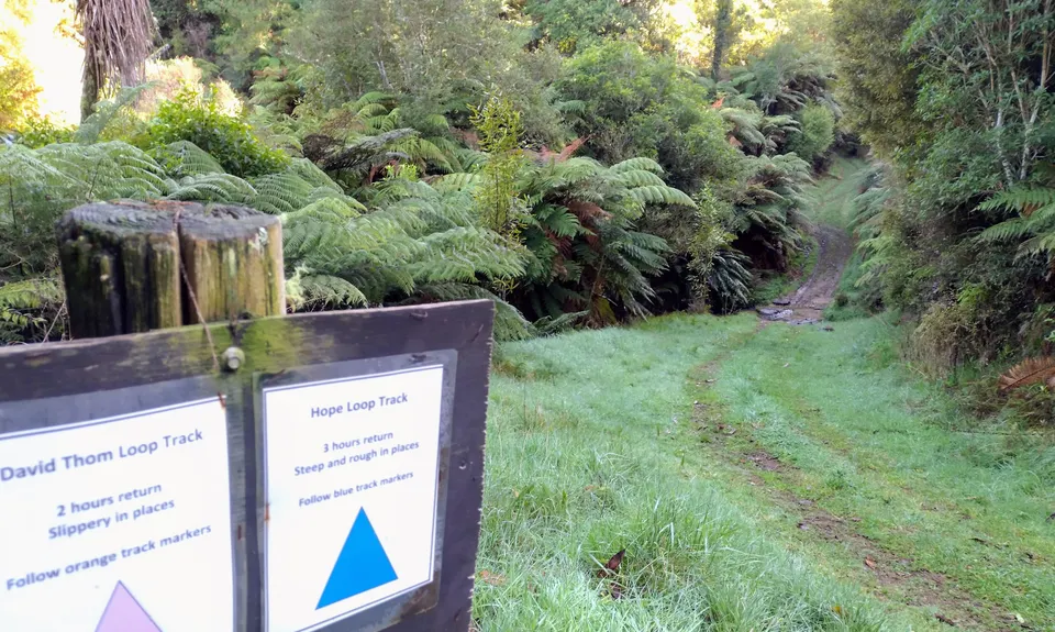 Ed Hillary Hope Reserve Loop, Waikato
