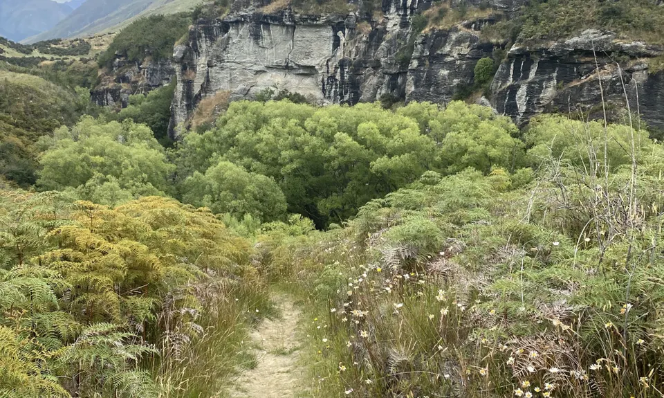 Motatapu River Track, Otago