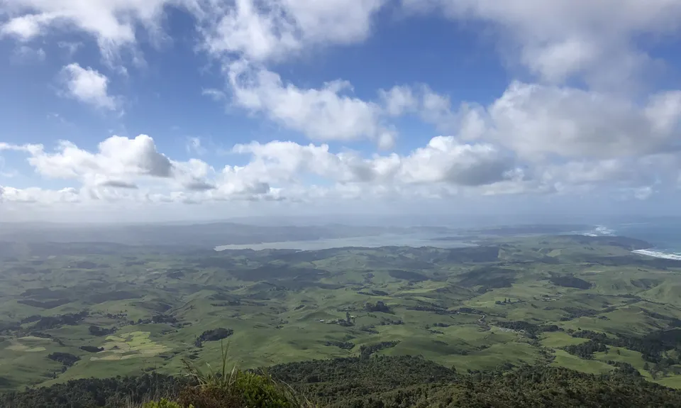 Wairake Track, Waikato