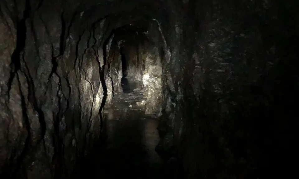 Tartare Tunnel Track, West Coast