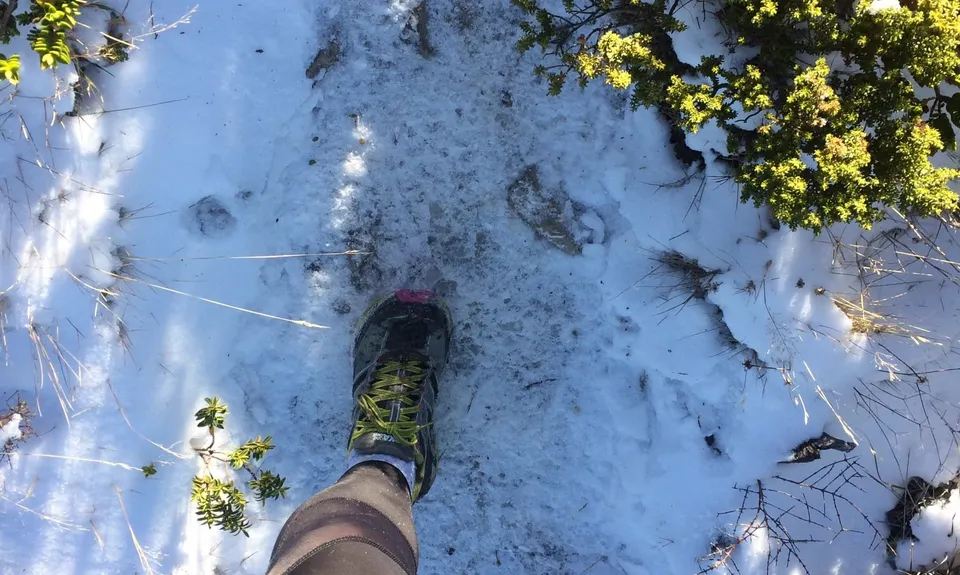 Mt Oxford Half, Canterbury
