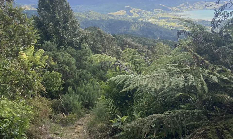 Kaipawa Trig , Waikato