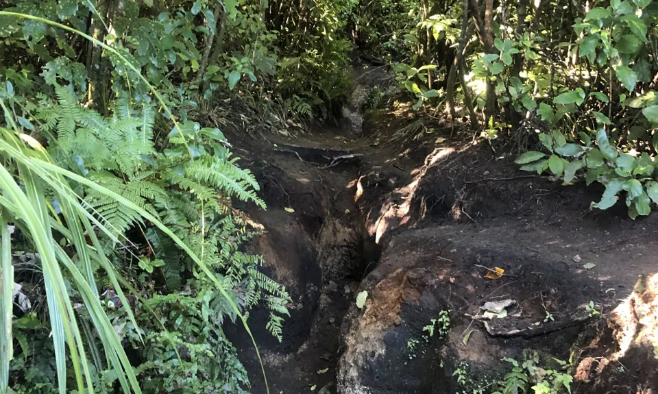 Tauhara Grunt, Waikato