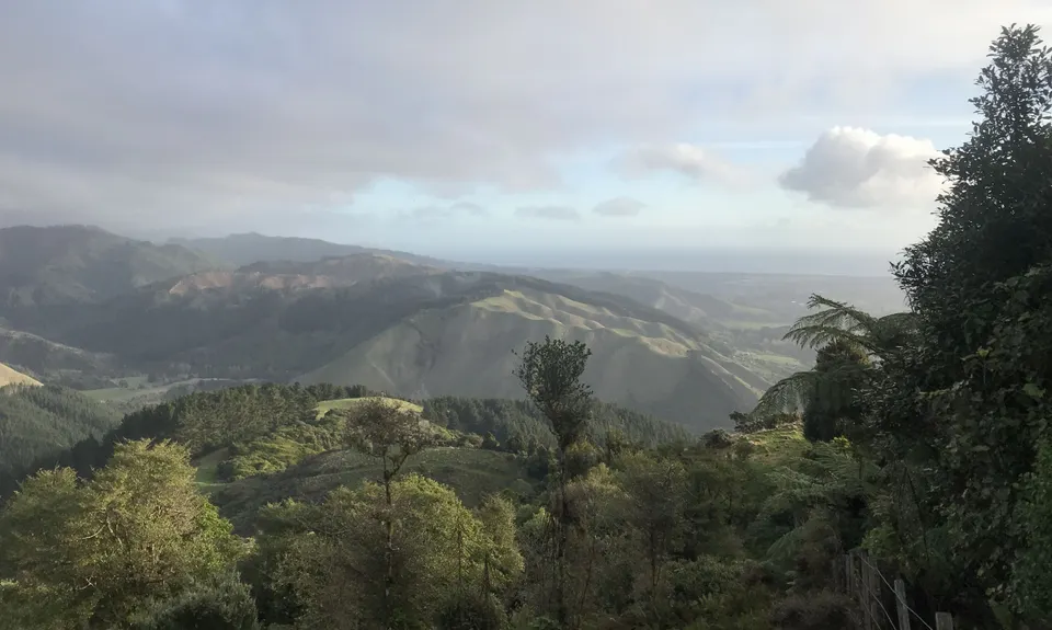 The Whole Hemi, Wellington