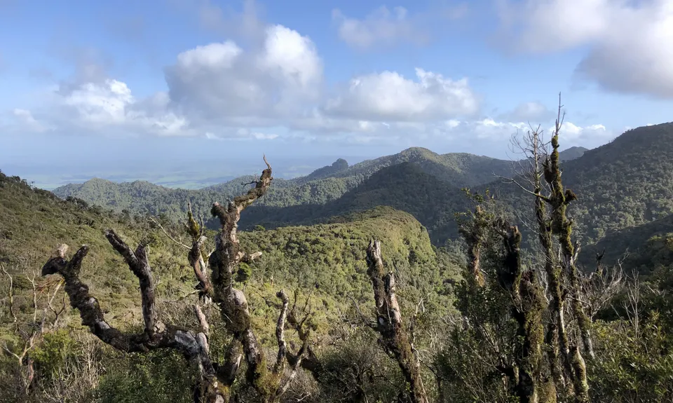Pirongia Loop of Awesomeness, Waikato