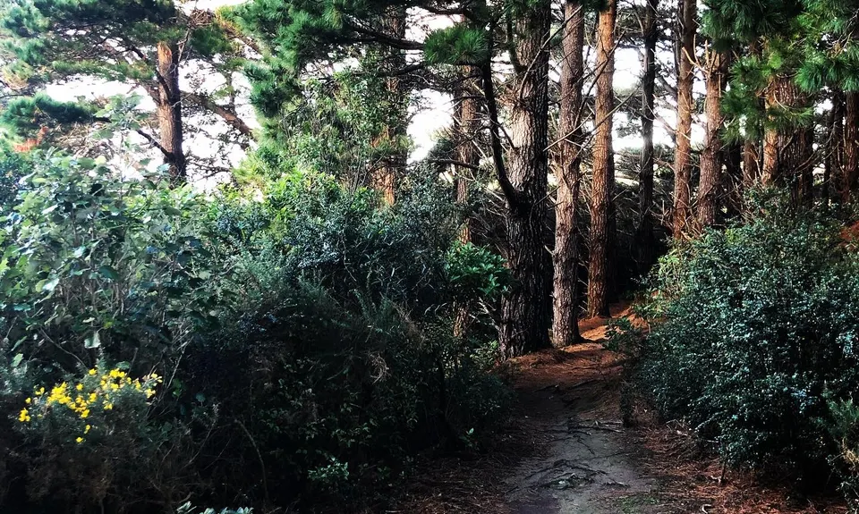 Graveyard Shift, Wellington