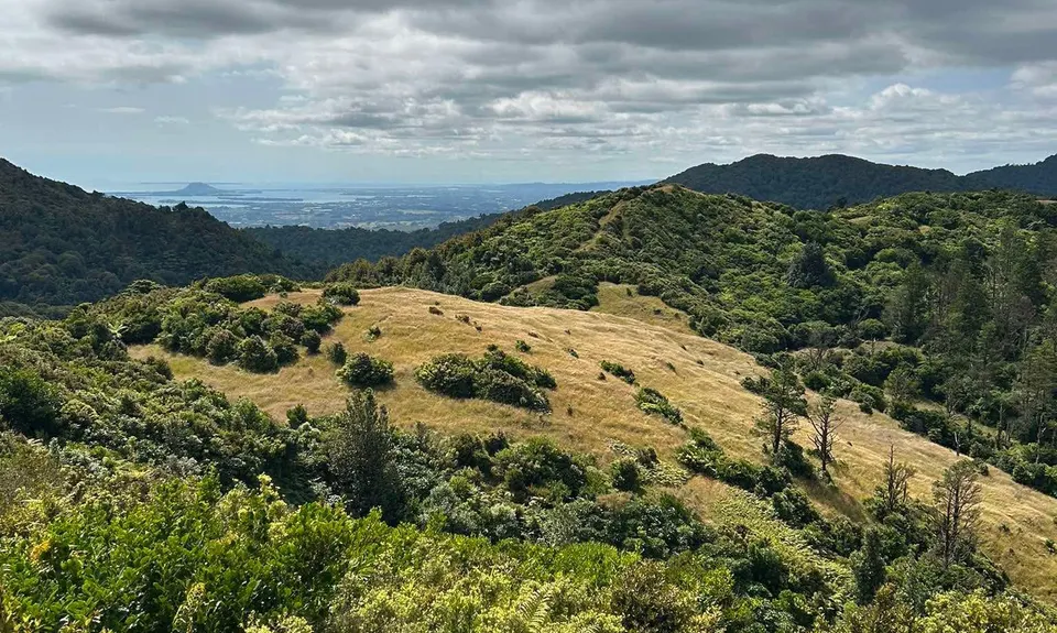 Eliza Mine Climb, Bay of Plenty