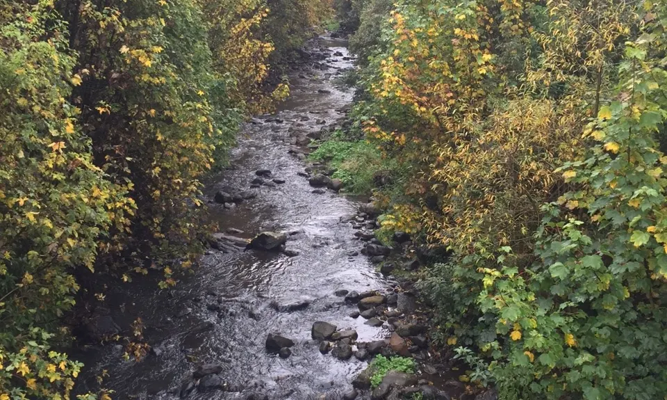 Ross Creek and McGouns , Otago