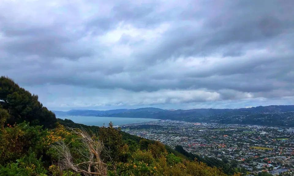 Te Whiti Riser, Wellington