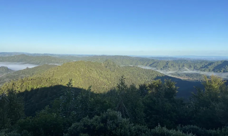 Ernie's loop, Auckland