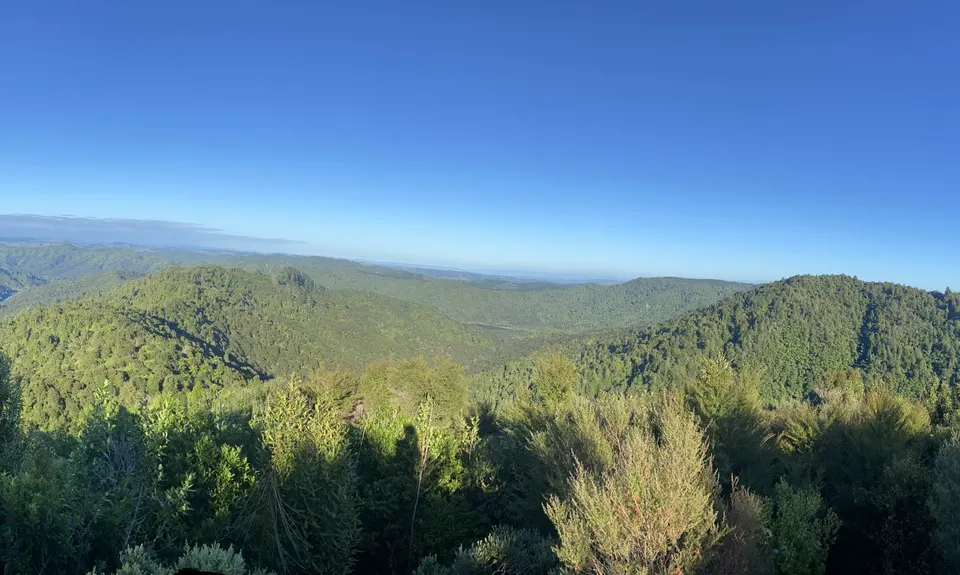 Ernie's loop, Auckland