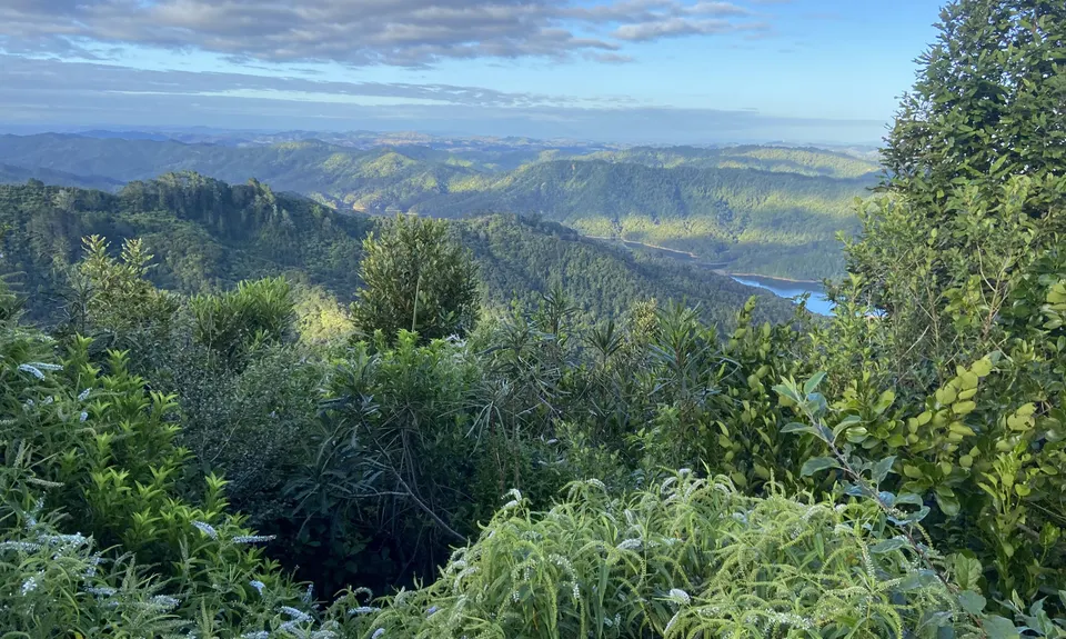 Ernie's loop, Auckland