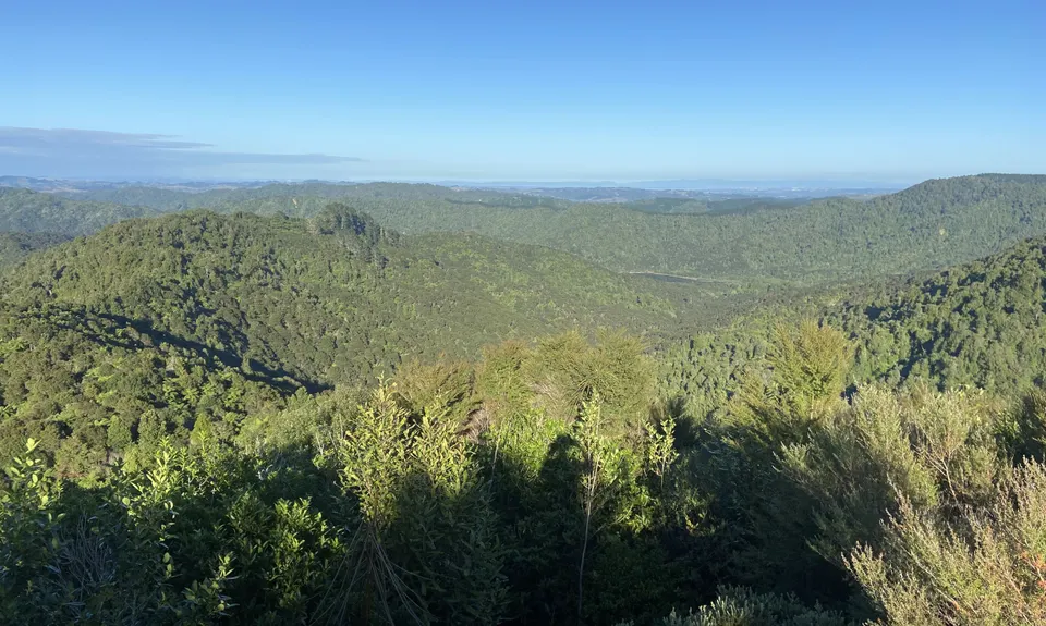 Ernie's loop, Auckland