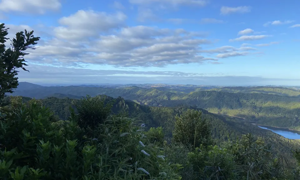 Ernie's loop, Auckland