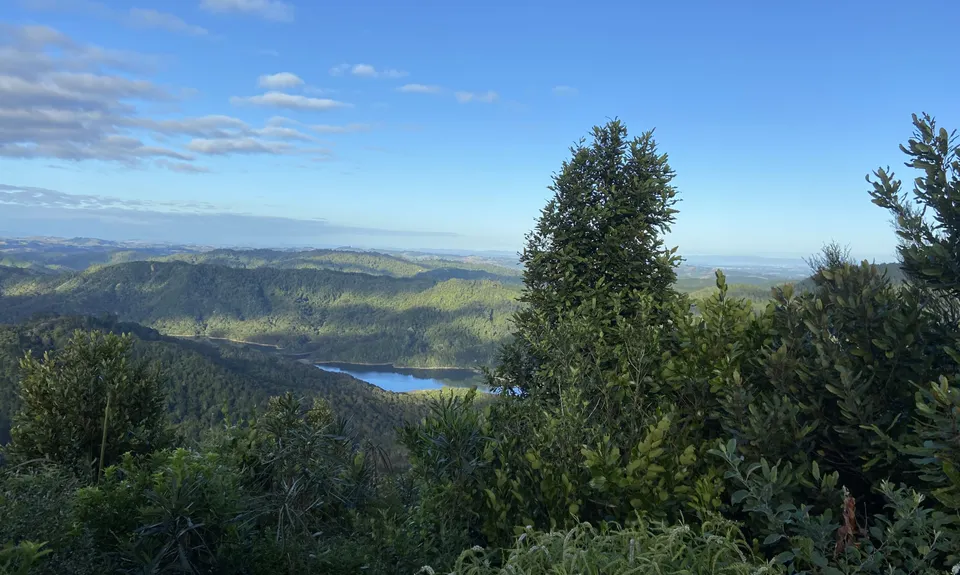 Ernie's loop, Auckland