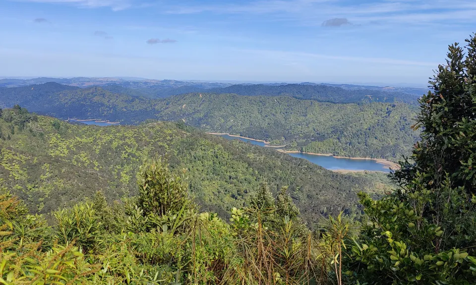 Challenge / Ernies Loop, Auckland