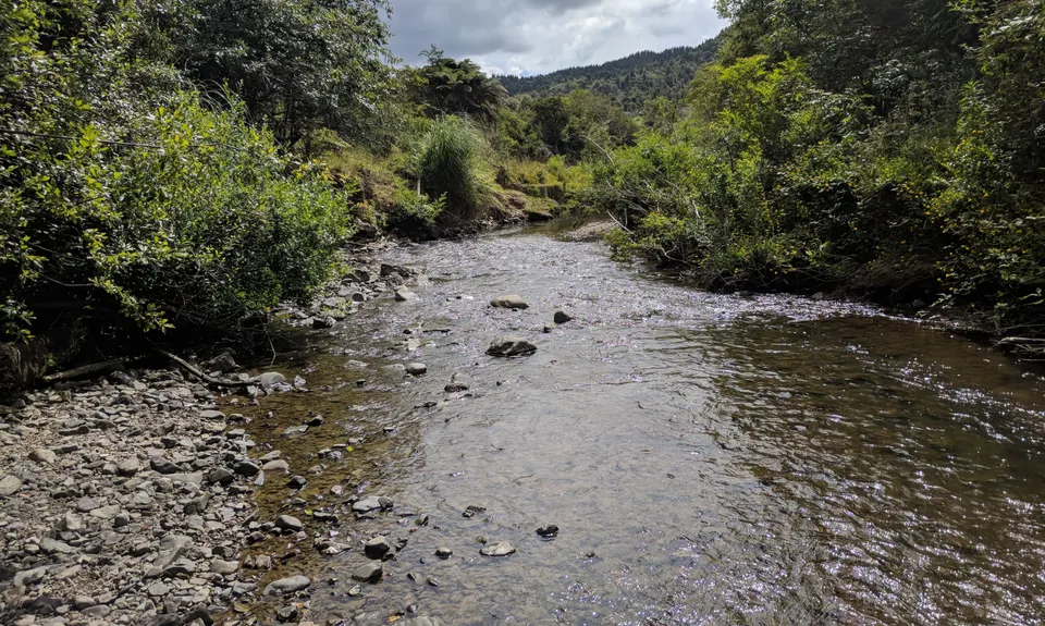 Ernie's loop, Auckland