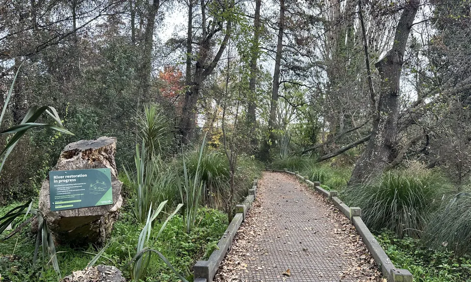 Ernle Clark & Purau Reserves, Canterbury