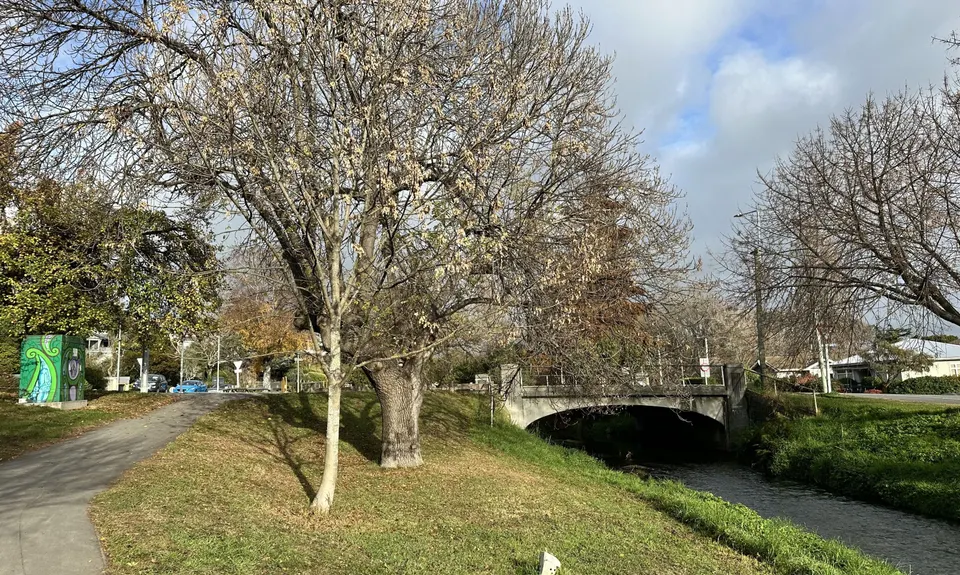 Ernle Clark & Purau Reserves, Canterbury