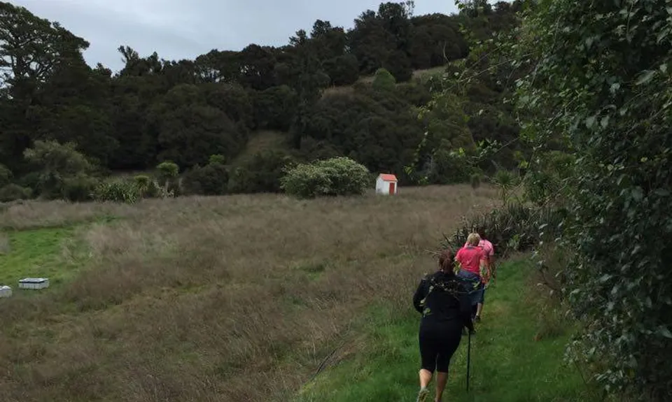 Rewanui Loops, Manawatu - Wanganui