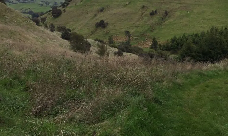 Rewanui Loops, Manawatu - Wanganui