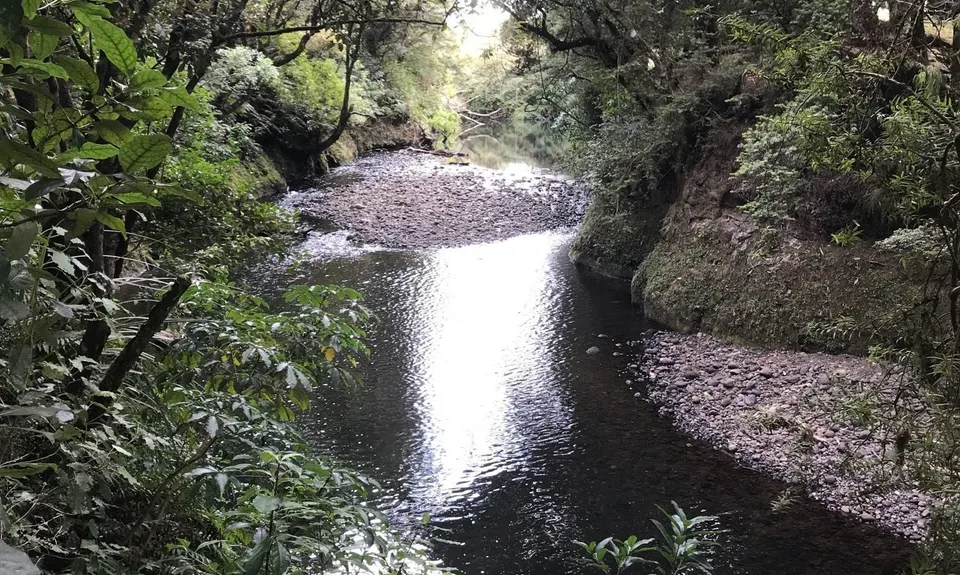 Raetihi Massive, Manawatu - Wanganui