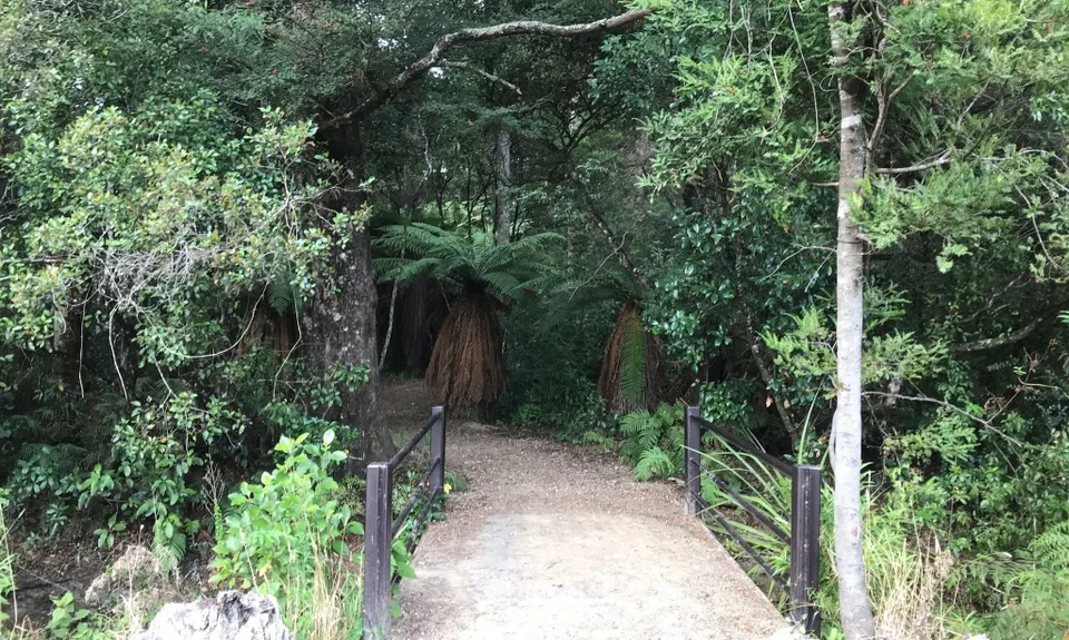 Raetihi Massive, Manawatu - Wanganui