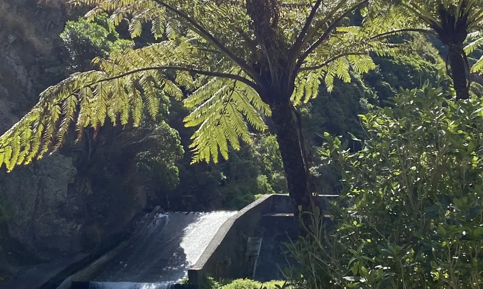 Belmont Tadpole Loop, Wellington