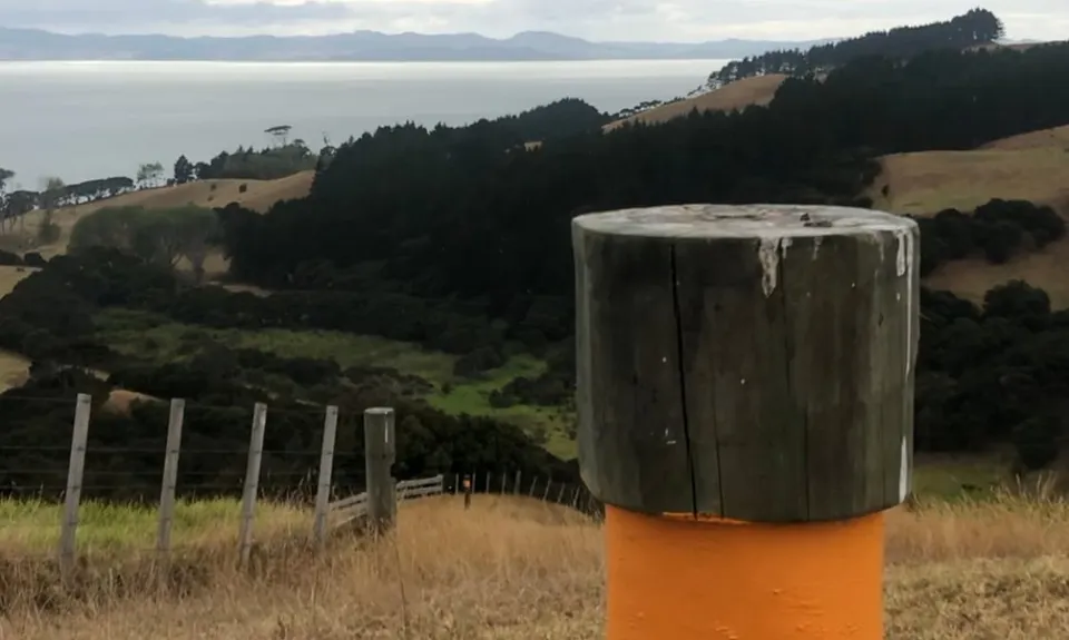 Te Rau Puriri Regional Park, Auckland