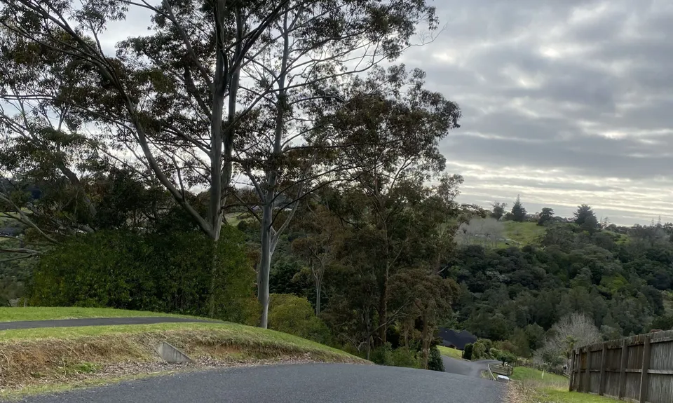 Mangemangeroa Track, Auckland