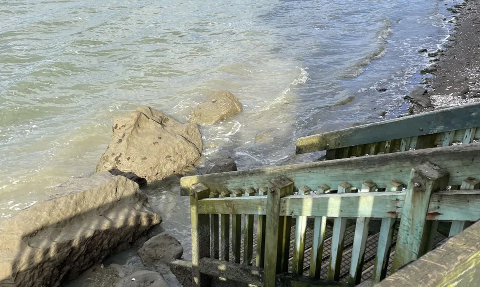 Waikowhai Stairs, Bush & Beach, Auckland