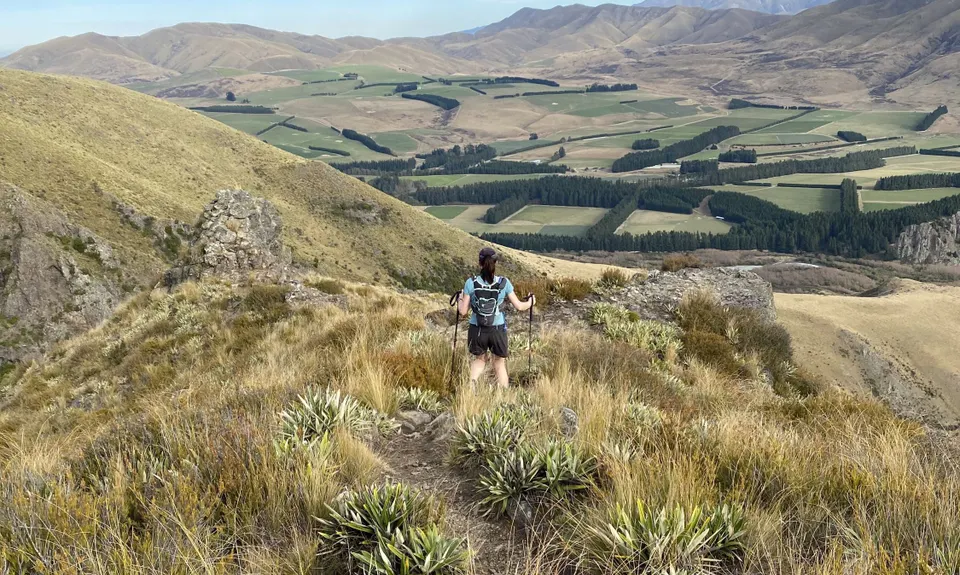 Mt Barrosa Burn, Canterbury