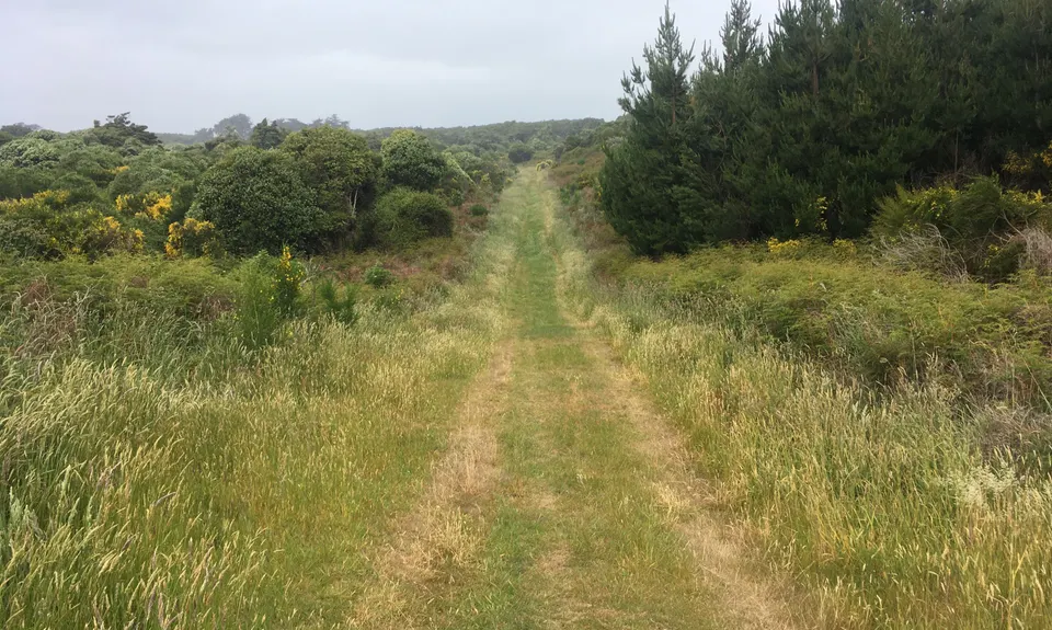 Second Date Loop, Southland