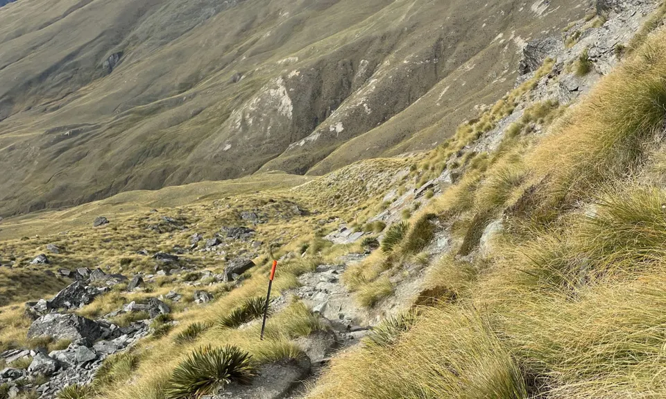 Ben Lomond via Tiki Trail, Otago