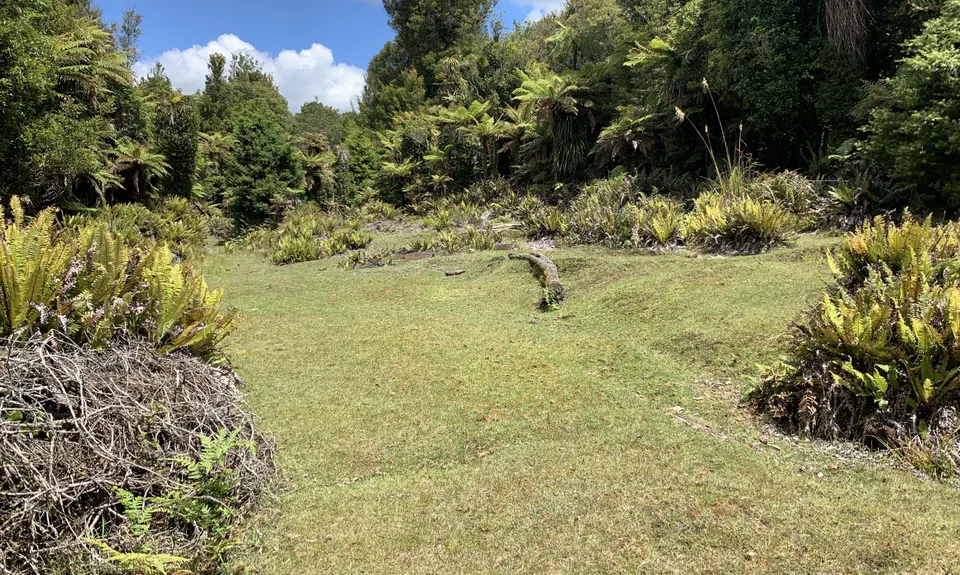 Kaimai Summit to Wairere Falls , Waikato