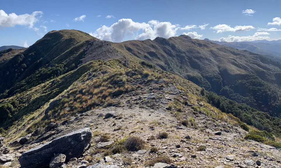 Mt Watson Croesus Loop, West Coast
