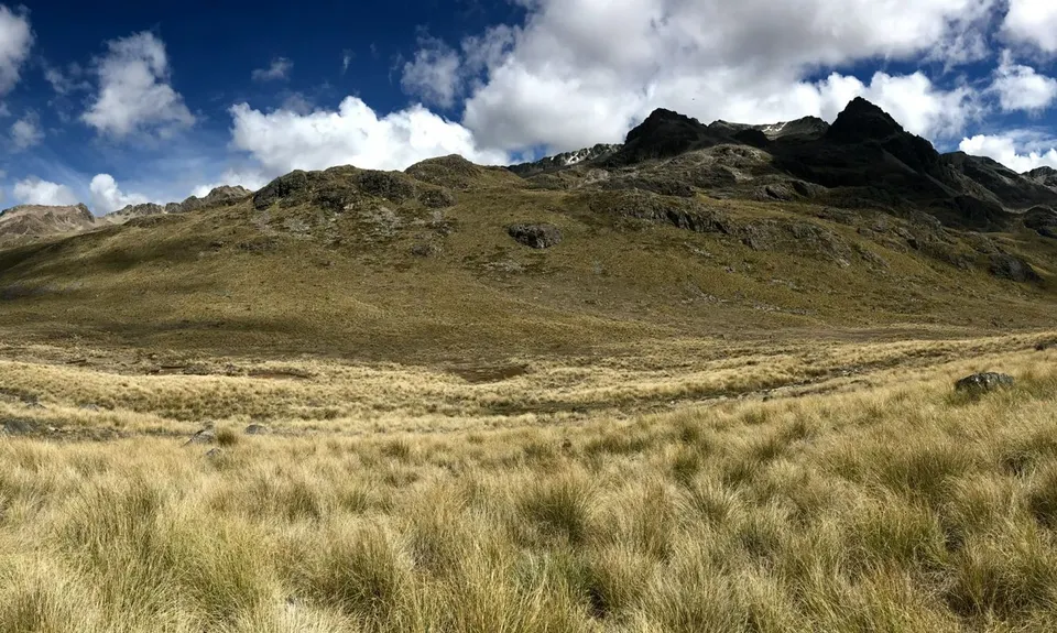 Ohau Face/East Ahuriri Loop, Canterbury