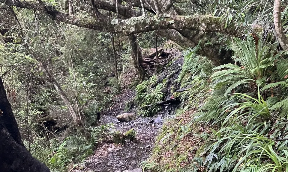 Whisky Falls, Tasman