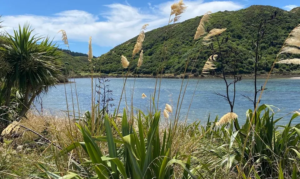 Whitireia Circuit, Wellington